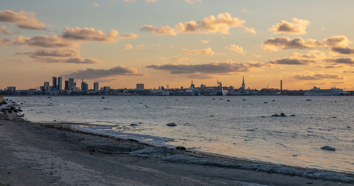 HOMNE EESTI ⟩ Heidi-Anett Väisinen: Lootus võib olla lohutus, et tänased otsused ei määra kogu meie tulevikku