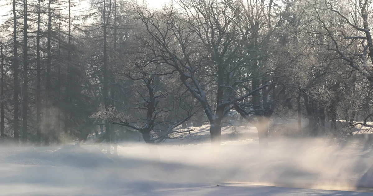 Ilmataadi vingerpussid: külmakraadid rallivad nagu Ameerika mägedel