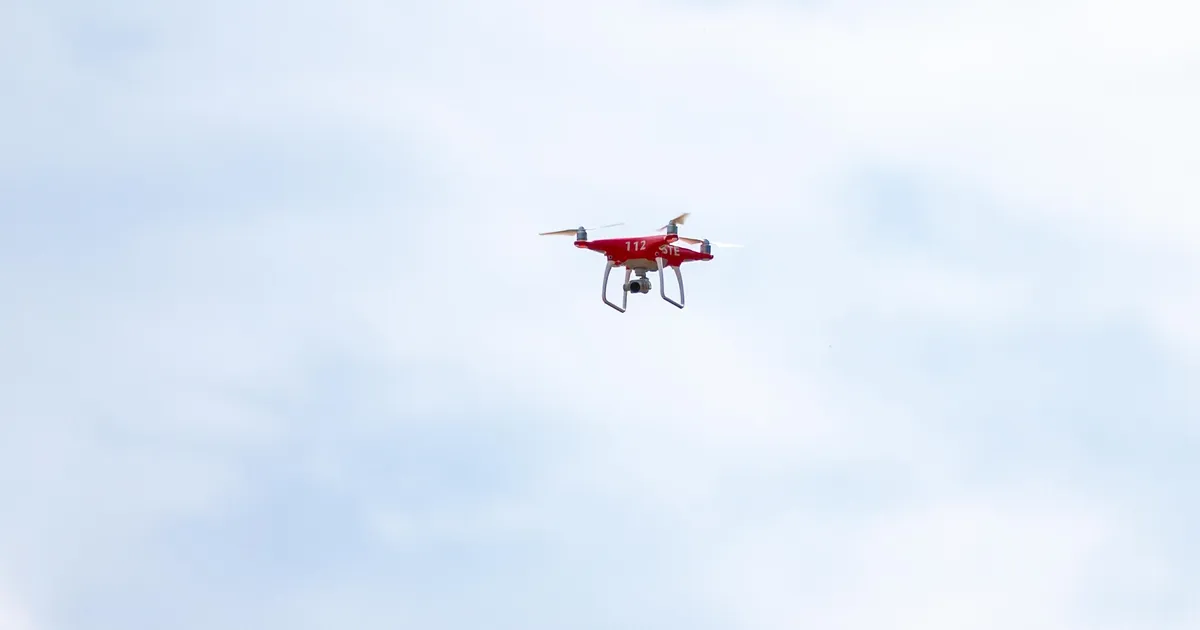 Pilliroogu eksinu leiti uue aasta hakul drooni abil