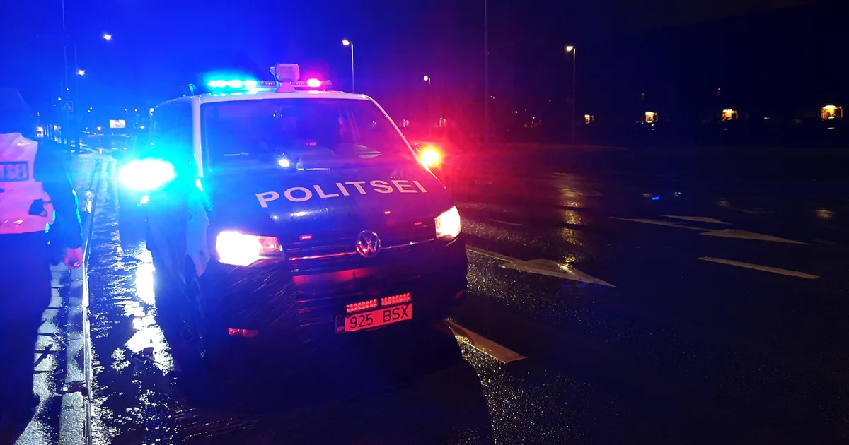 Kohus võttis ema tapmises kahtlustatava mehe vahi alla