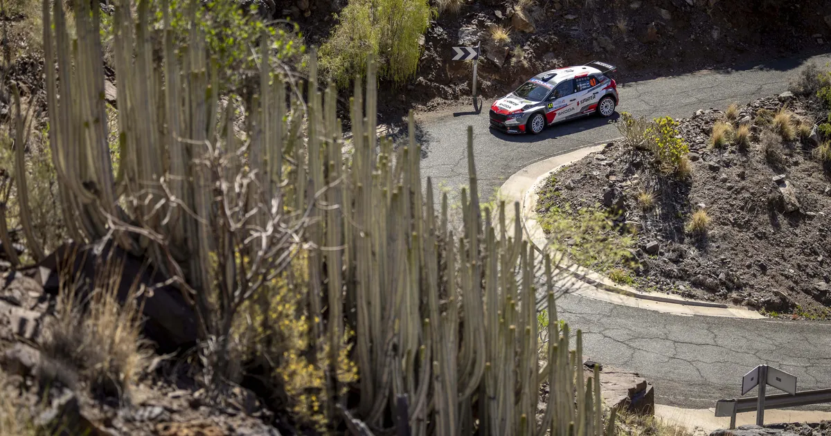 Autoralli MM-sari kolib paika, mis toonud edu nii Loebile, Mäkinenile kui ka Grönholmile