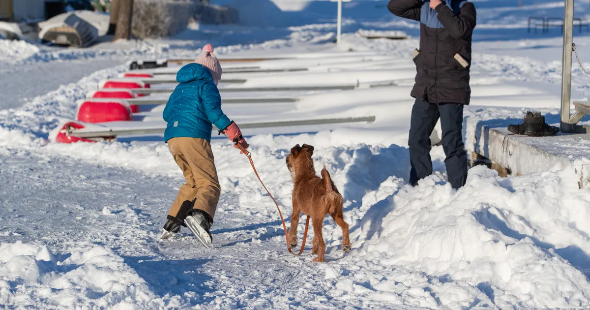Esmaspäev toob läbivalt miinuskraade