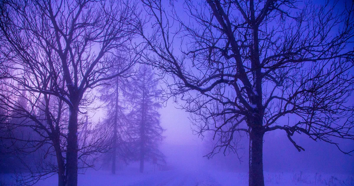 Eeloleva nädala ööd toovad krõbedaid miinuskraade