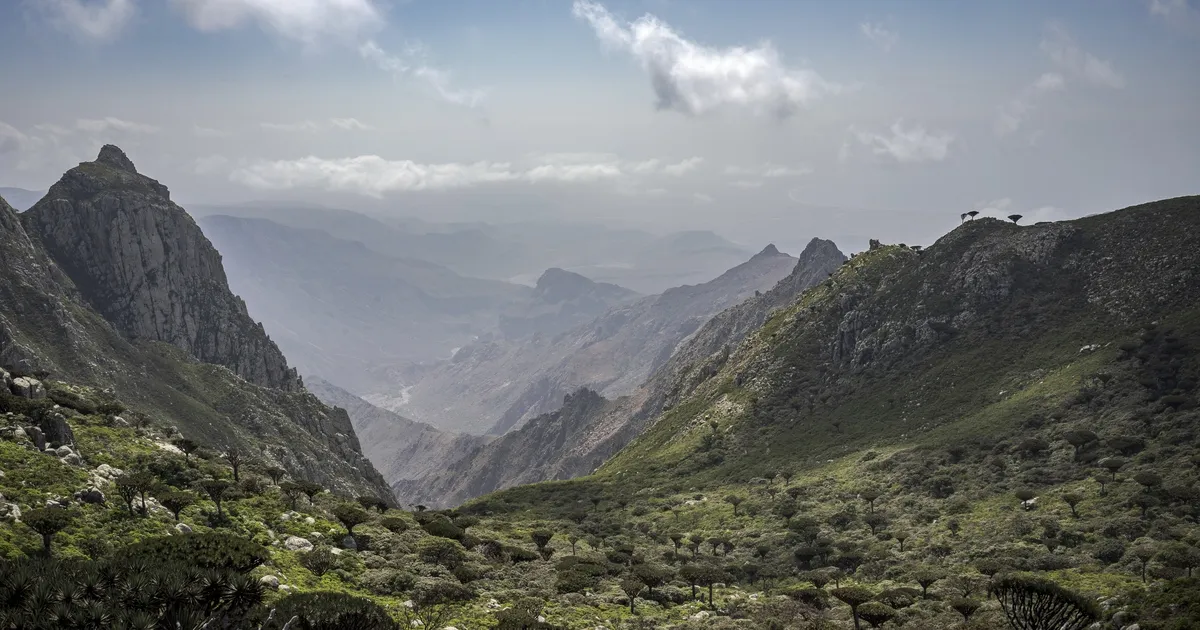 Jeemenis jäi lahingute tõttu peatatud lendude pärast 400 turisti saarele lõksu