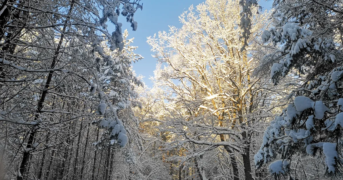 NÄDALAPROGNOOS ⟩ Ees on väga kaalukad päevad: midagi suurt võib juhtuda