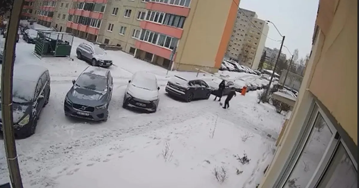 ŠOKEERIV VIDEO ⟩ Lasnamäel lõi mees perenaise silme all koerakutsikat, loom paiskus vastu autot