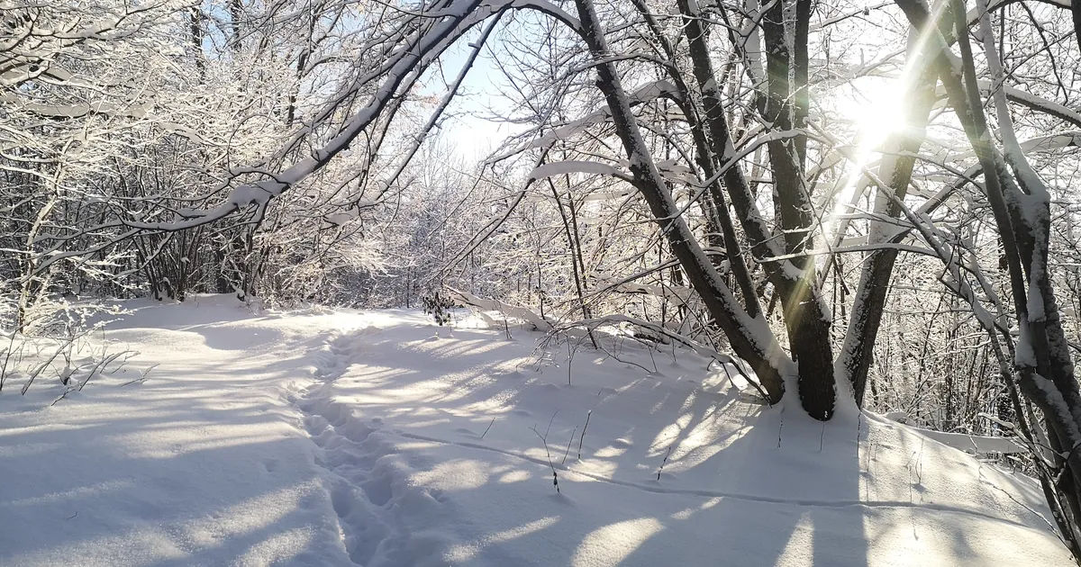 JAANUARI HOROSKOOP ⟩ Vaikseid hetki selles kuus ei tule: midagi vanast maailmast saab lõplikult pühitud