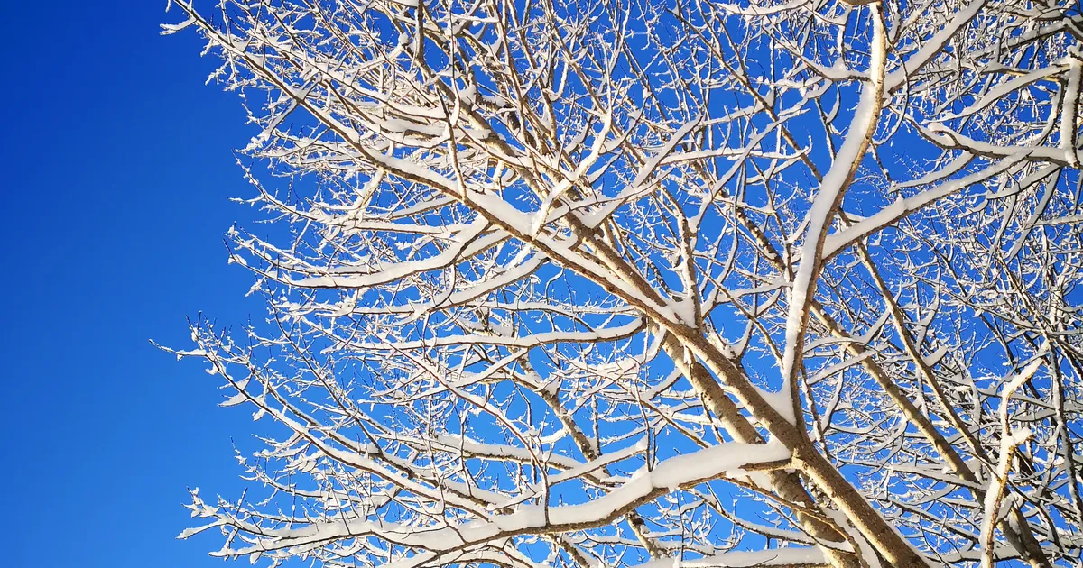 SODIAAGISOSINAD ⟩ Käes on suurte tegude nädal: võetakse ette asju, milleks muul ajal julgust või jõudu napib