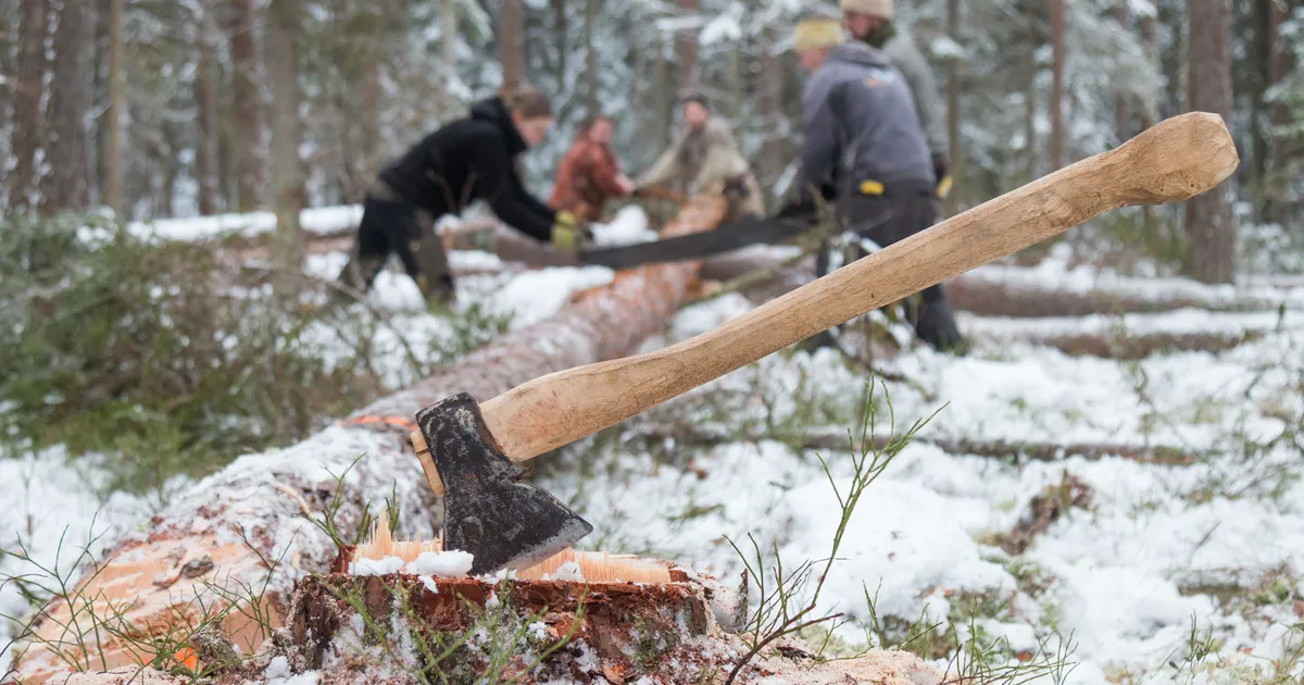 Keskkonnakirve «auhinna» sai kaela valitsus, positiivse tunnustuse pälvis riigikontroll