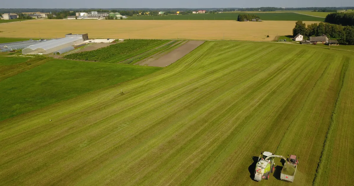 Ametnike füüsilised kontrollkäigud ettevõtjate juurde jäävad vähemaks