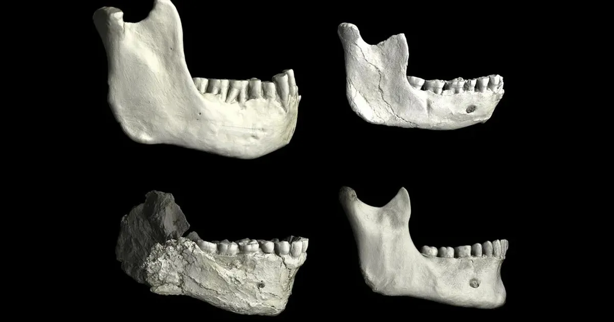 Sensatsiooniline leid: teadlased võisid Marokost leida nüüdisinimeste ja neandertallaste ühise esivanema