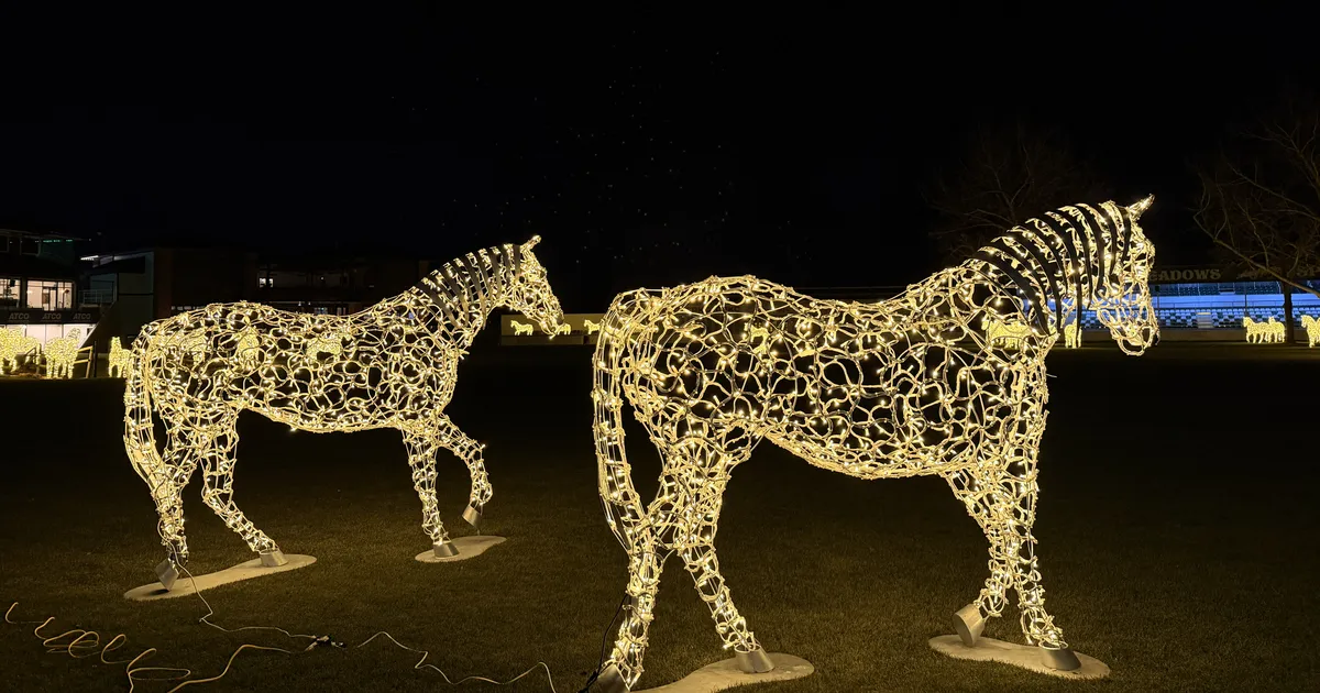 PILK PEALE ⟩ Eesti ettevõtte disainitud 100 valgushobust ehib Kanada kuulsat ratsakeskust