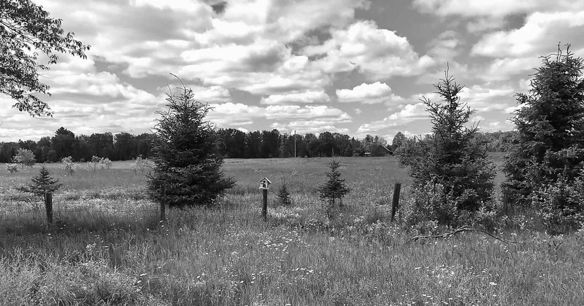 KRIMIARHIIV ⟩ Tallinna heinamaal rööviti mehel päise päeval ajal jalast saapad ja sokid