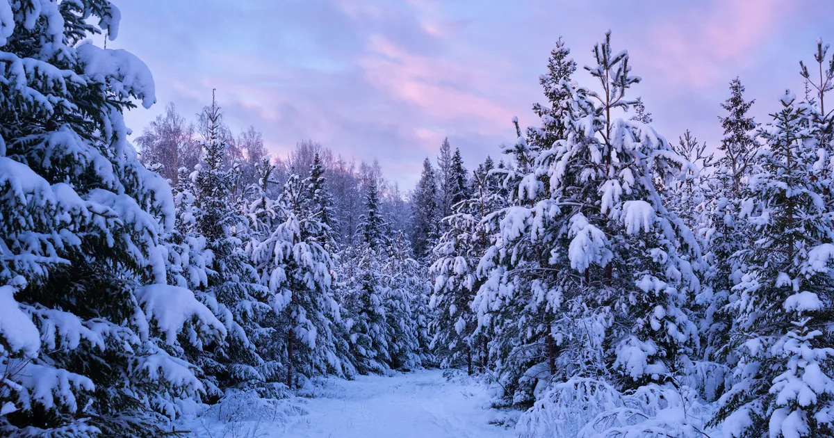 PÄEVAHOROSKOOP ⟩ 12. jaanuar: Sõnnidel on hea aeg usalduslikeks vestlusteks, Kaksikutel sujuvad toimetused kergemalt