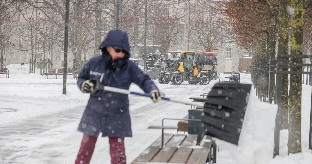HOIATUS ⟩ Kolmes maakonnas jätkub tihe lumesadu