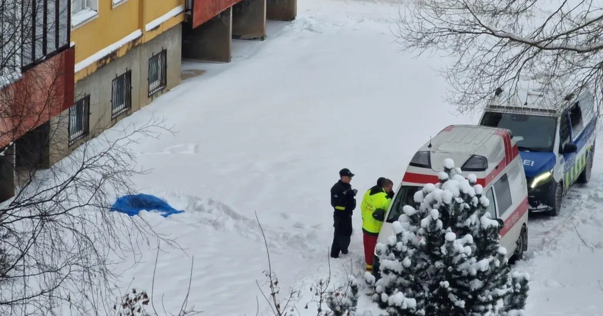 Annelinnast leiti naise surnukeha