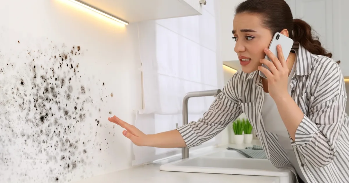 Varjatud koht köögis, mis on hallitusest pungil