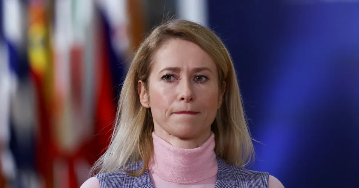 TERVISEKS! ⟩ Pakendikeskus pööras Kaja Kallase maailma hädade ja joomise kohta lausutud kommentaari naljaks