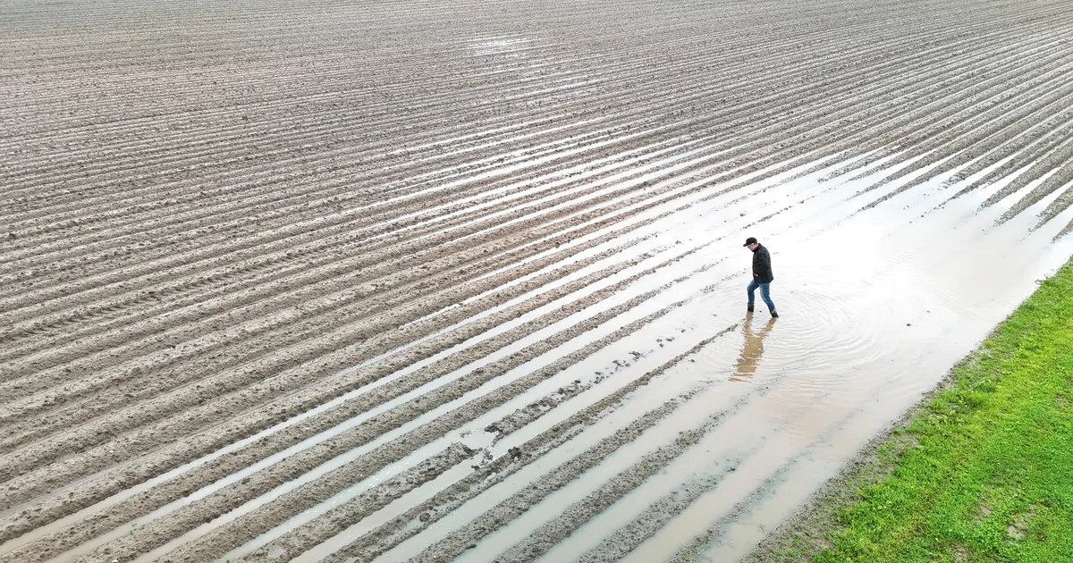 Selgusid 2025. aasta parimad pressifotod