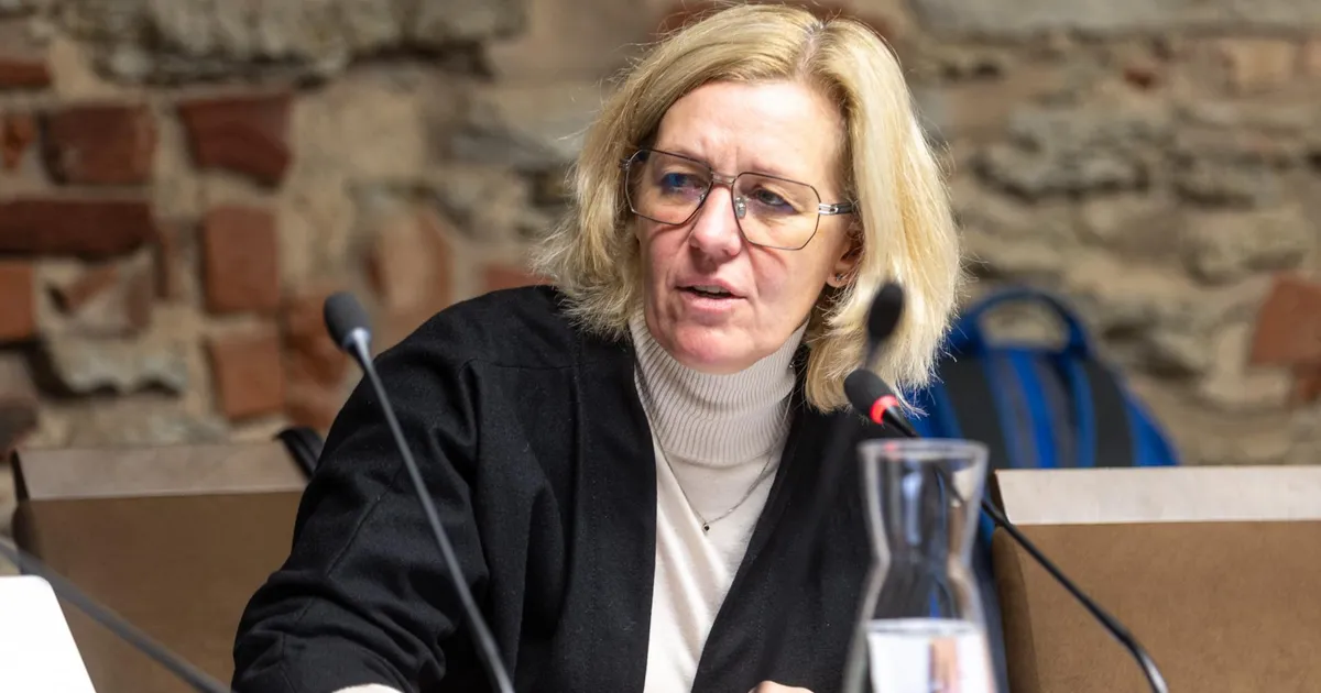 Annely Akkermann pistis rinda ulakate häkkeritega: ühel hetkel tuttavad küsisid, miks ma neid meemidega pommitan