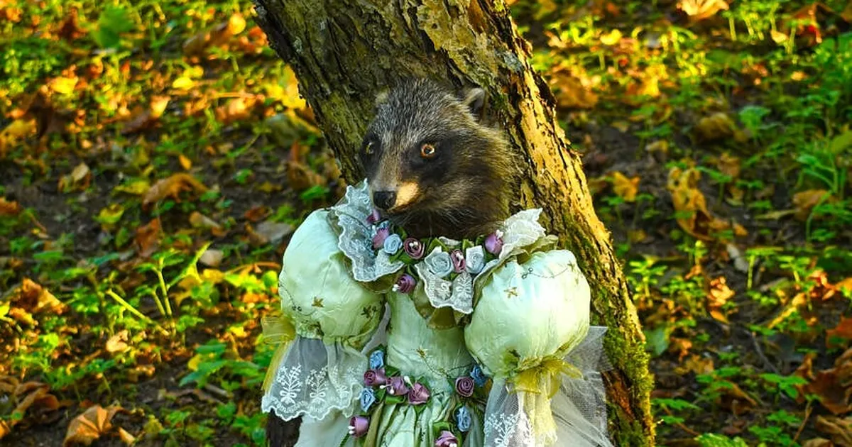 FOTOD ⟩ Veebipoes pälvivad tähelepanu üllatava välimusega nukud: ilu, mis seisab elu ja surma piiril