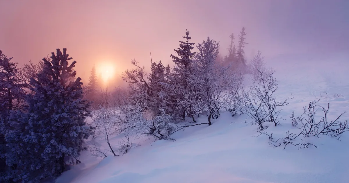 SODIAAGISOSINAD ⟩ Peagi läheb kergemaks: uued uksed hakkavad avanema