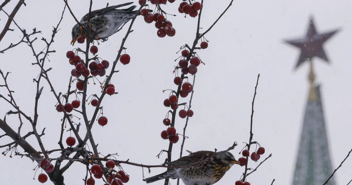 Venemaa saadab välja spioneerimises süüdistatava Briti diplomaadi