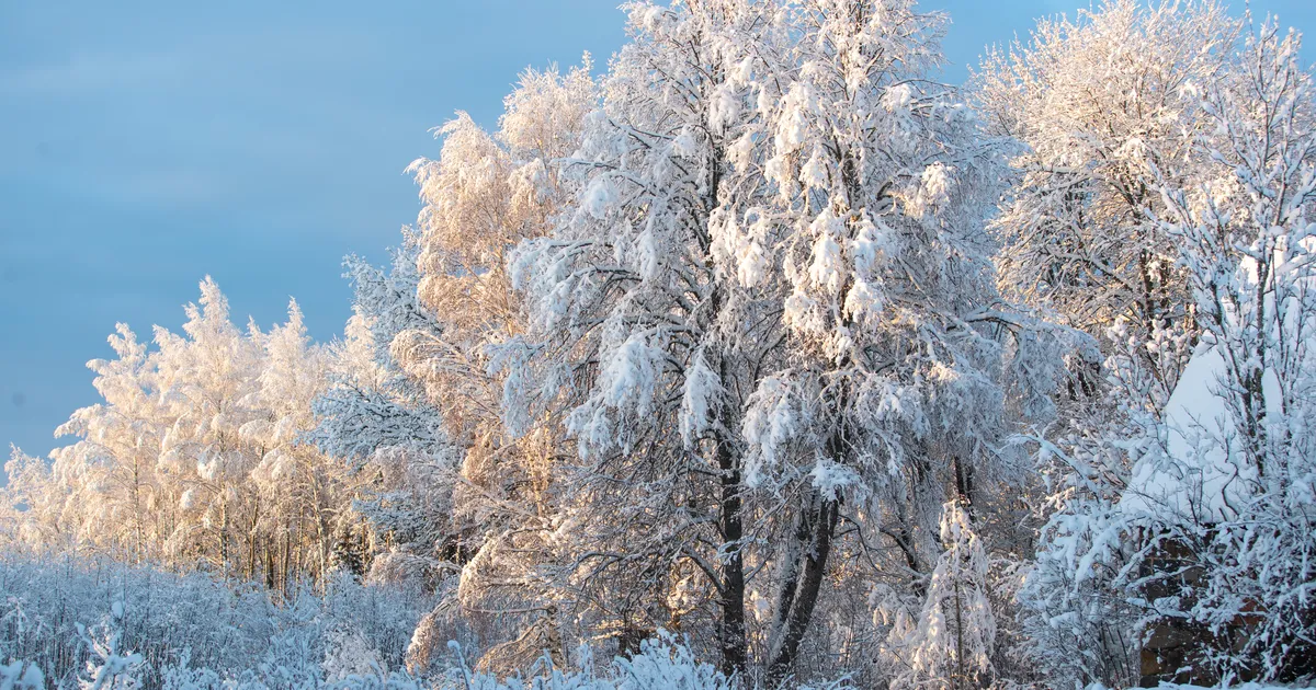RMK on eraomanikelt ostnud kaitsealuseid maid 30 miljoni euro eest