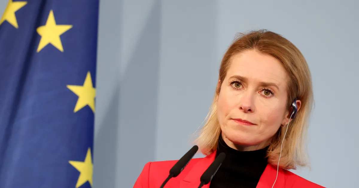 «Generaatori ostsin, kui käskis. Nüüd siis pean jooma hakkama?» Kaja Kallase napsinali elab sotsiaalmeedias oma elu