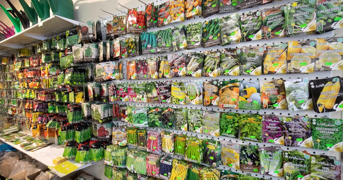 NÄDALA AED ⟩ Seemnevaru ülevaatus