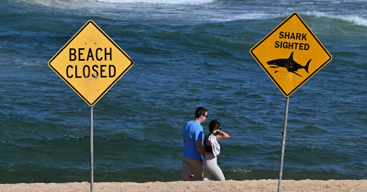 Sydney sadama lähedal sai hairünnakus raskelt viga teismeline poiss