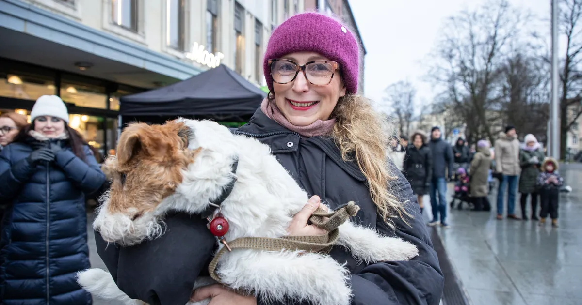 Evelyn Sepp: iibearutelu ei tohi taanduda naiste süüdistamisele