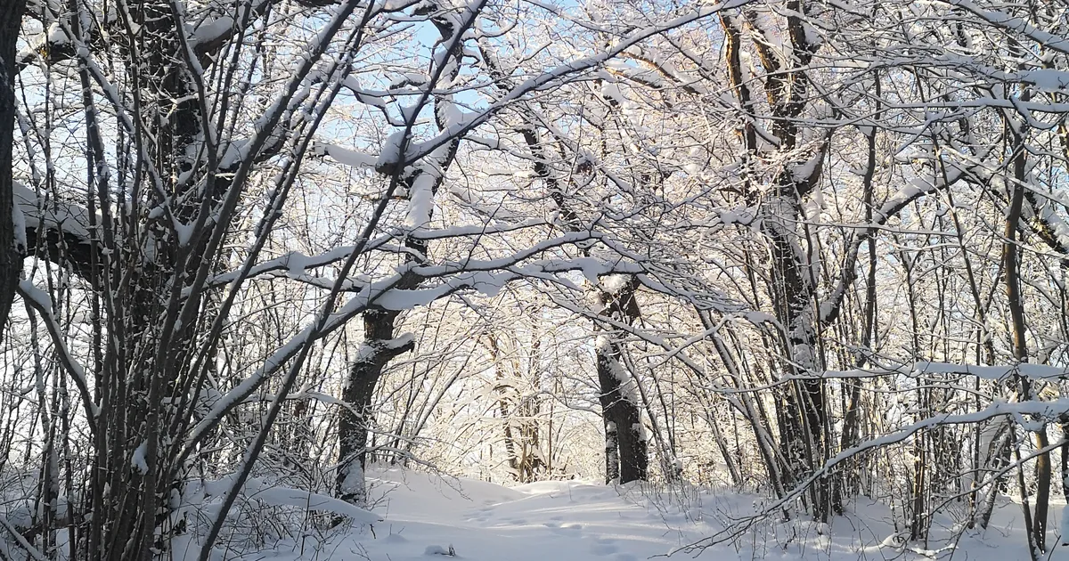 NÄDALAPROGNOOS ⟩ Ees on üleminekunädal: nüüd võib tulla ehmatavalt julgeid avaldusi ja käivitusi