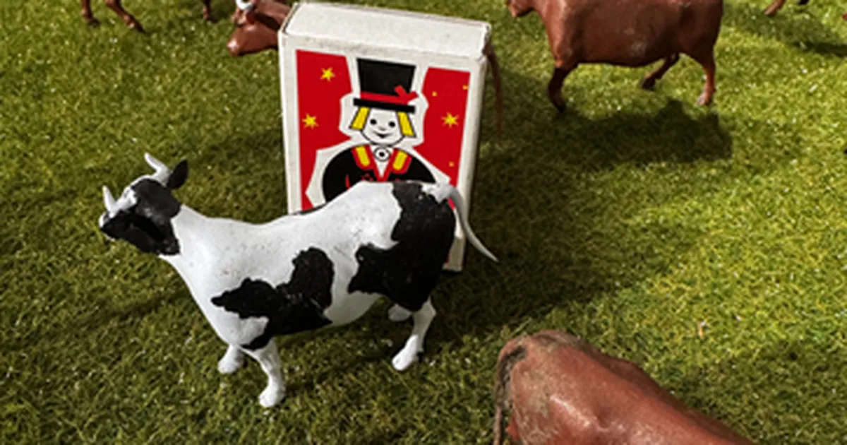 Maaülikooli õpetaja ehitas valmis miniatuurse kolhoosi