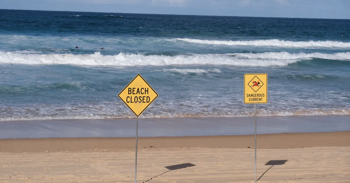 Neljas rünnak kahe päeva jooksul: hai hammustas surfajat rindkerest