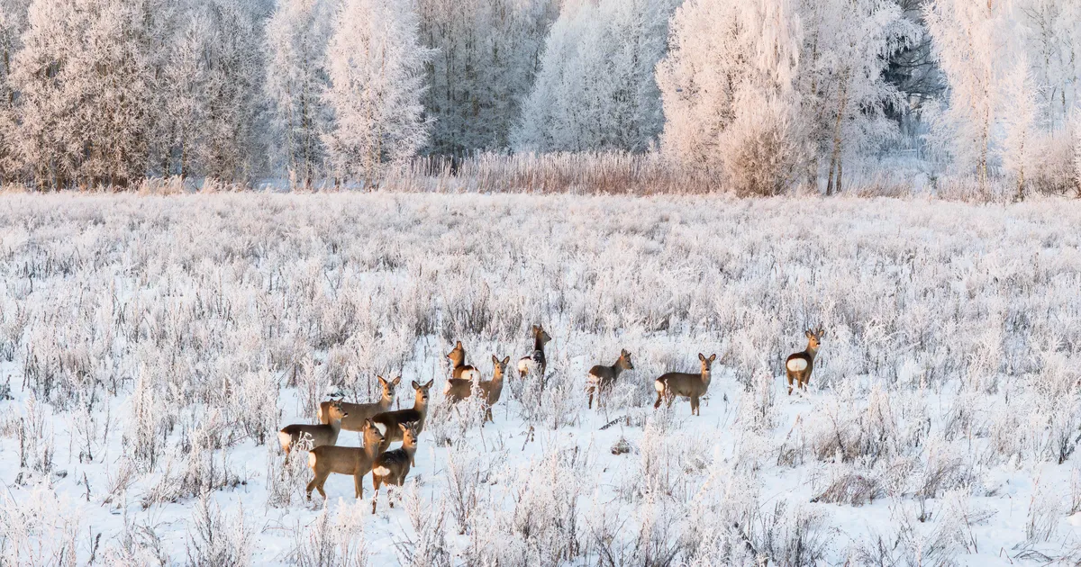 Neljapäeva pärastlõunal pöördub ilm jahedamaks