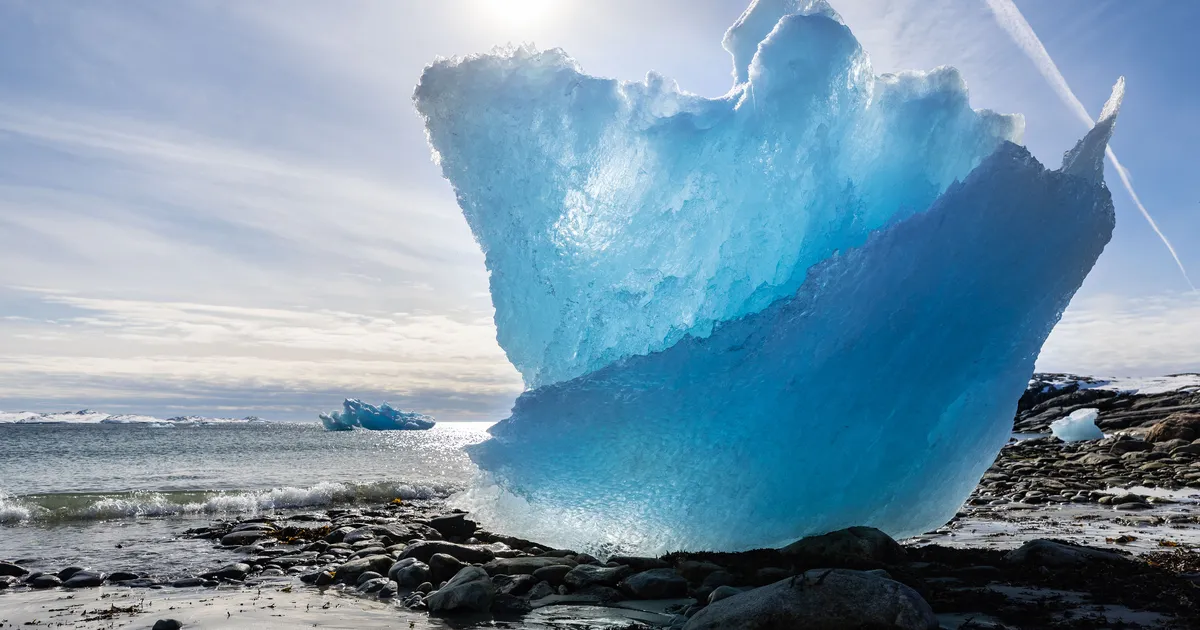 Trumpi Gröönihimule on üsnagi kõhedust tekitav selgitus