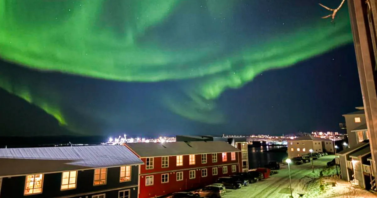 PILTUUDIS ⟩ Virmaliste «sõnum» Trumpile: mine õige…!