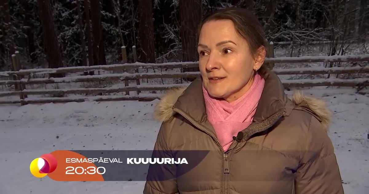 KUUUURIJA ESMASPÄEVAL ⟩ Kuusalus elav Kaili tehti naabrikiusajaks ja metsarüüstajaks