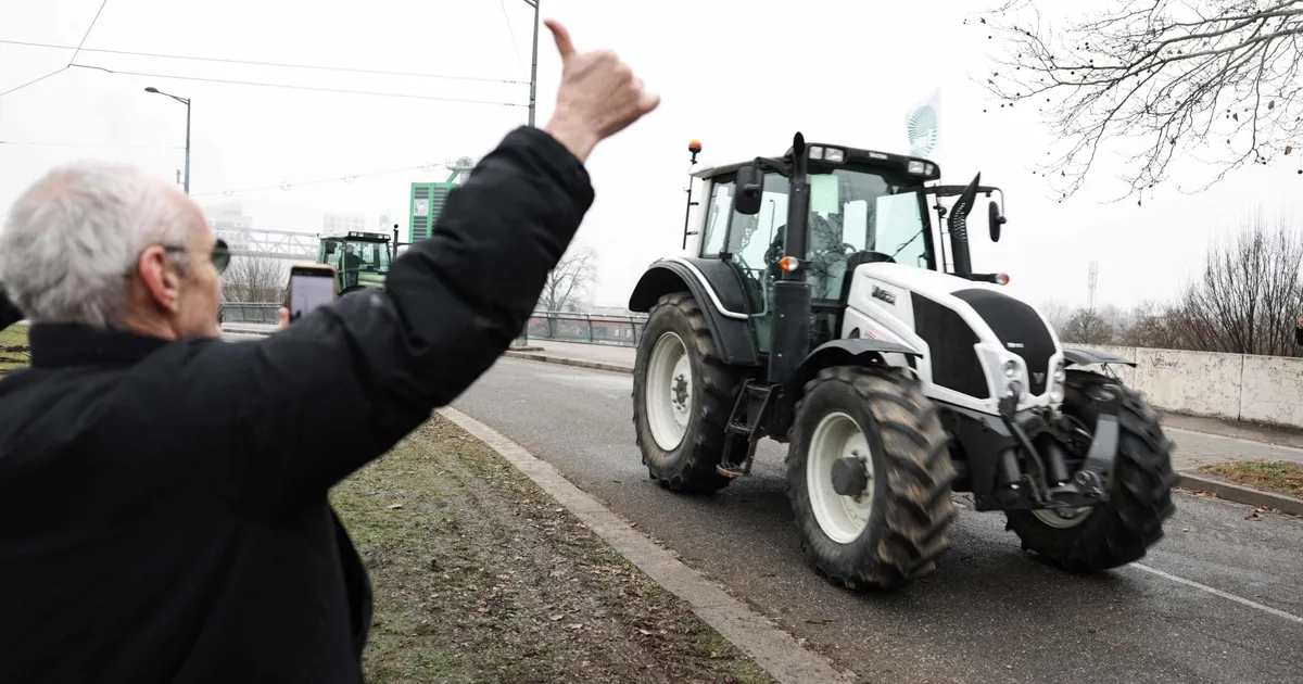 Evelyn Kaldoja ⟩ Populismiliiva jooksutatud lepe läheb kalliks maksma