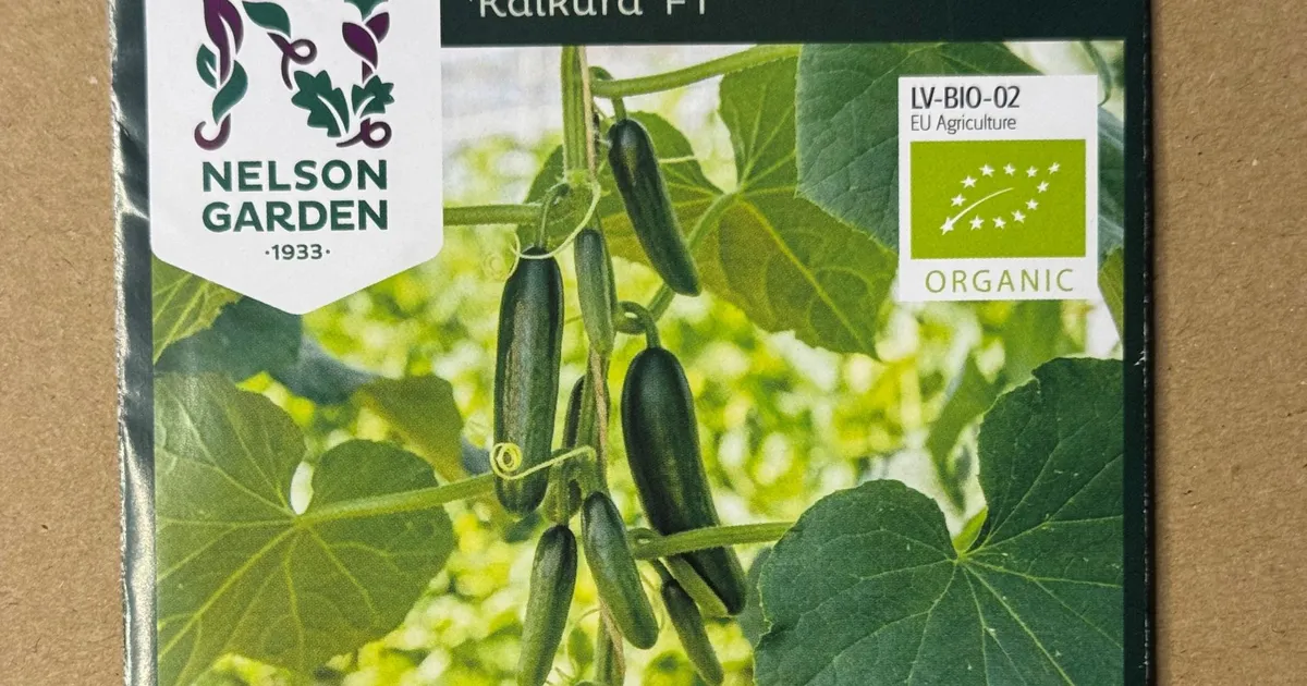 NÄDALA AED ⟩ Spikker algajale seemnesoetajale