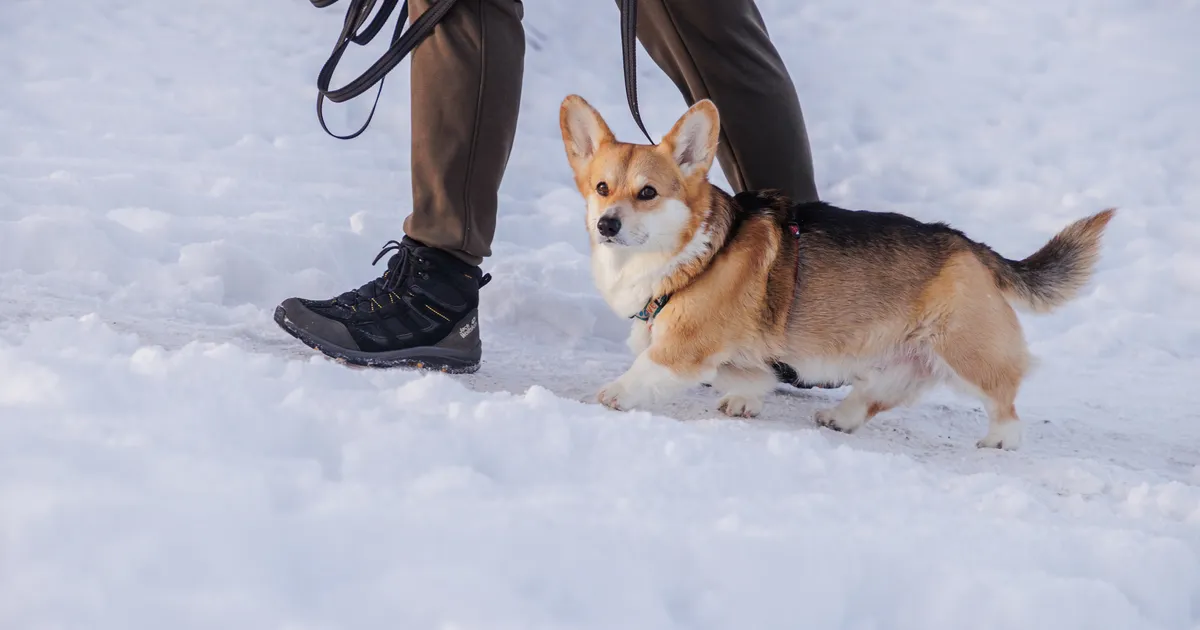 Pakane näpistab kõvasti: nädala lõpus tuleb kuni 28 kraadi külma