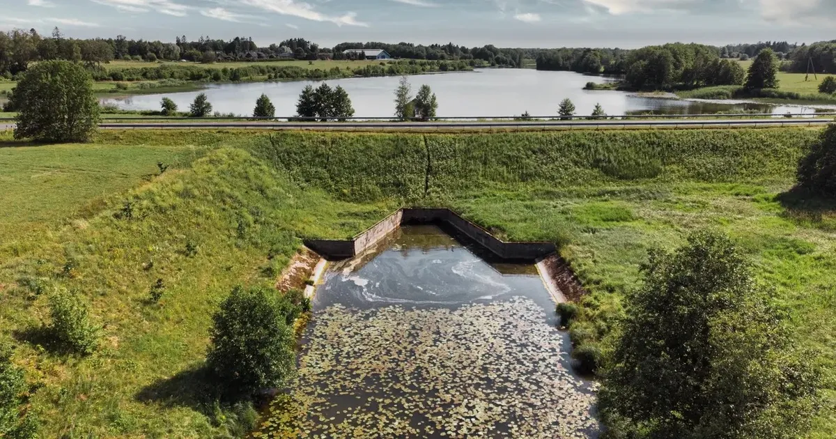UURING ⟩ Paisud põhjustavad forellide haigestumist
