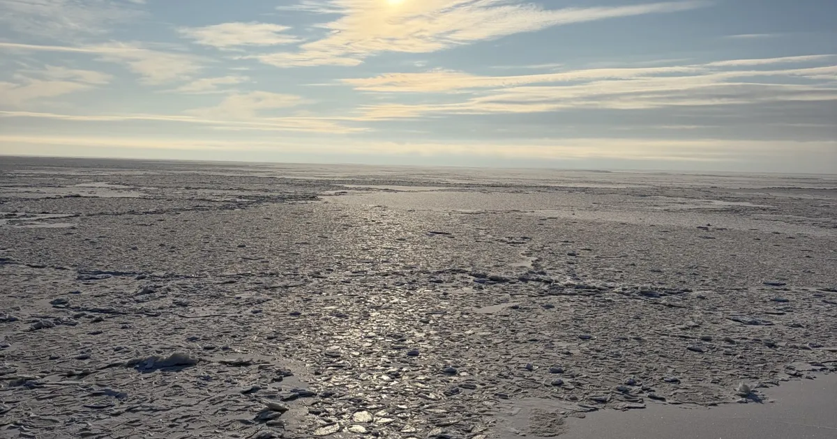 LOODUSKALENDER ⟩ Meri jäätub ja puud naksuvad pakasest