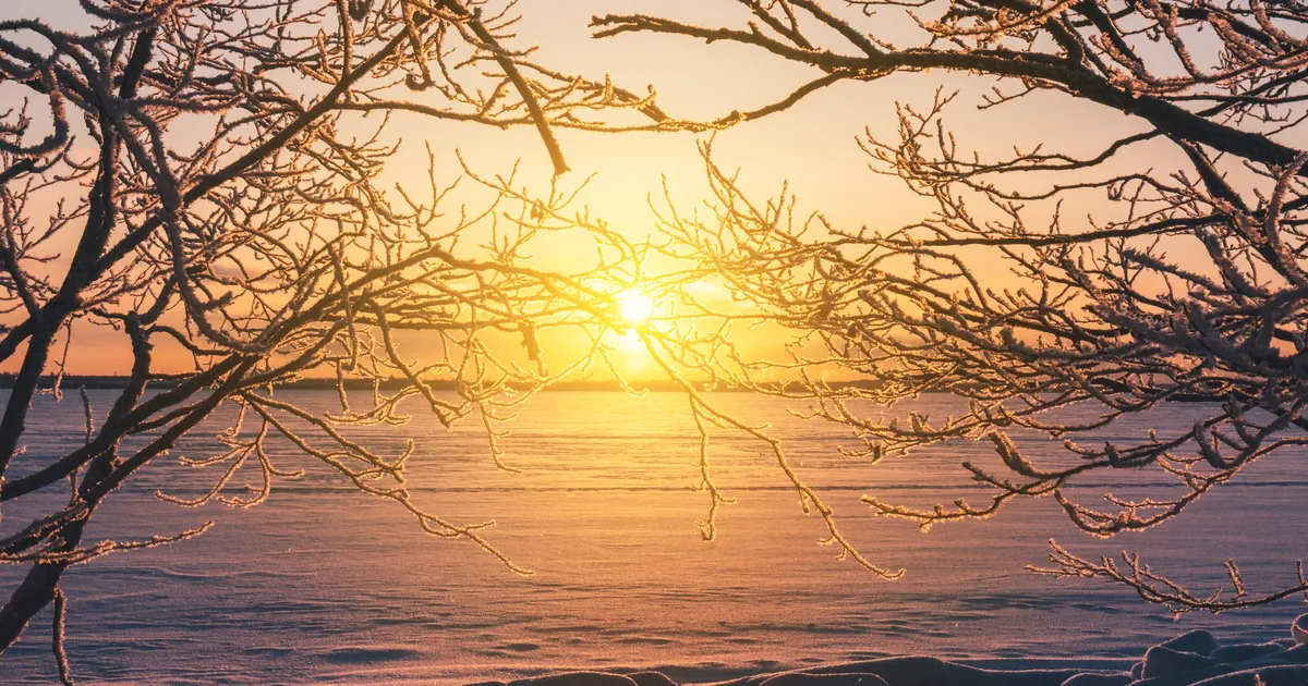 NÄDALAPROGNOOS ⟩ Eriliselt laetud nädal viib võiduka täiskuuni: midagi on tähistada