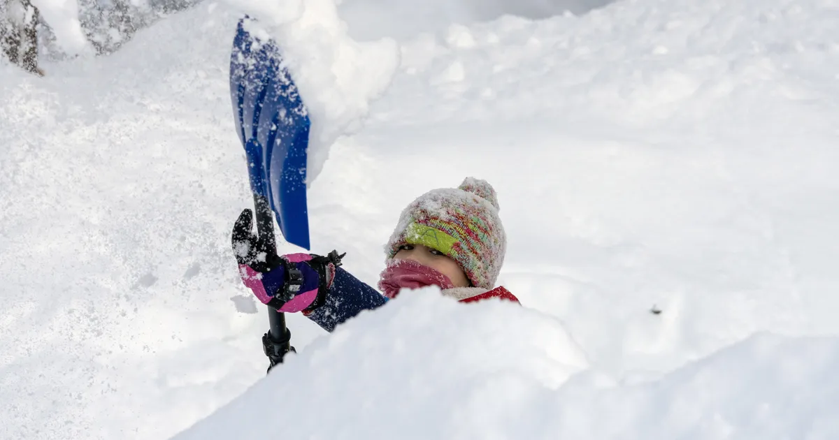 VIDEO ⟩ Torontolased kaevavad end linna ajaloo kõige paksemast lumest välja
