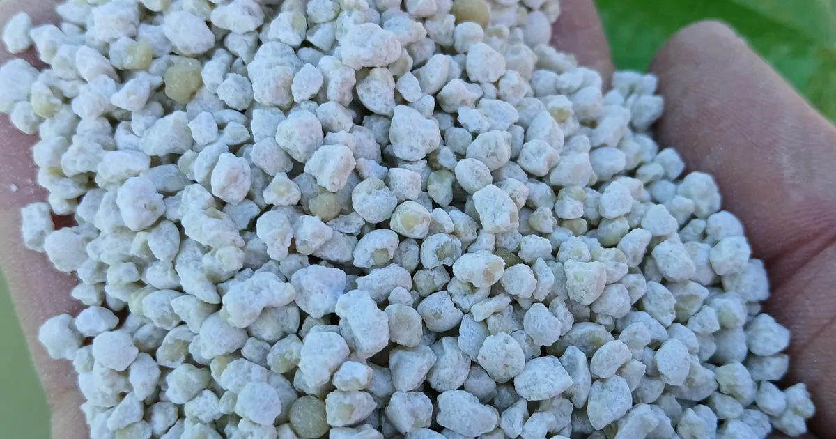 METK selgitab: mida kevadisel väetamisel silmas pidada?