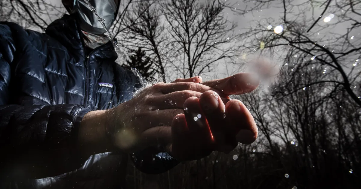 Salakavala nakkuse levik hakkab peatuma