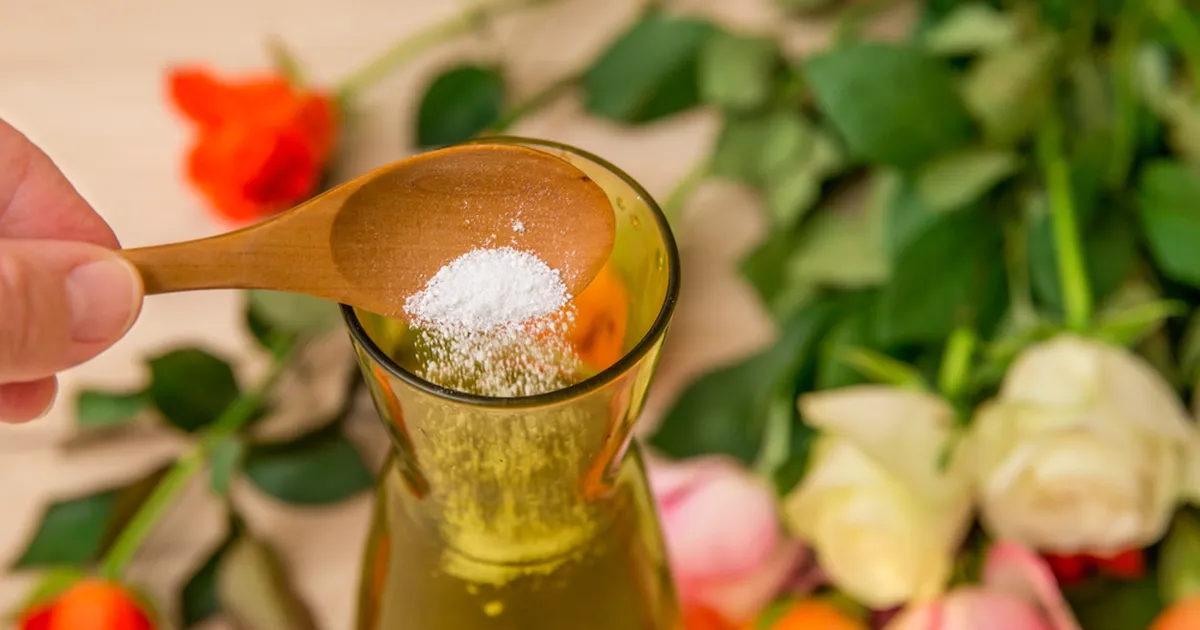 Kas lõikelillede toitesegu on mürgine? Loe, mida see pulber tegelikult sisaldab