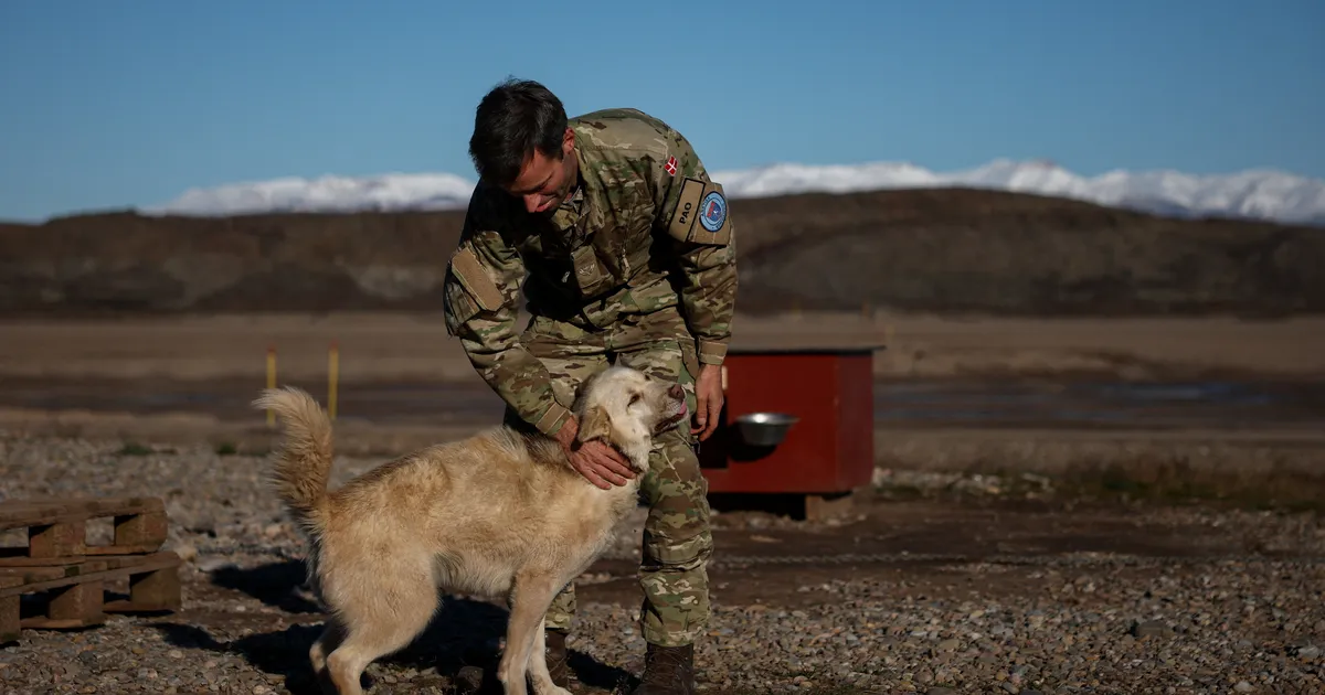 TÕHUSAMAD KUI SATELLIIT ⟩ Kõrgtehnoloogiast pole Gröönimaa jäistes oludes patrullivatele kelgukoertele vastast